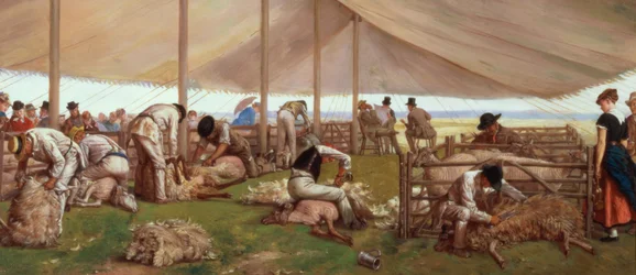 The Sheep Shearing Match, 1875